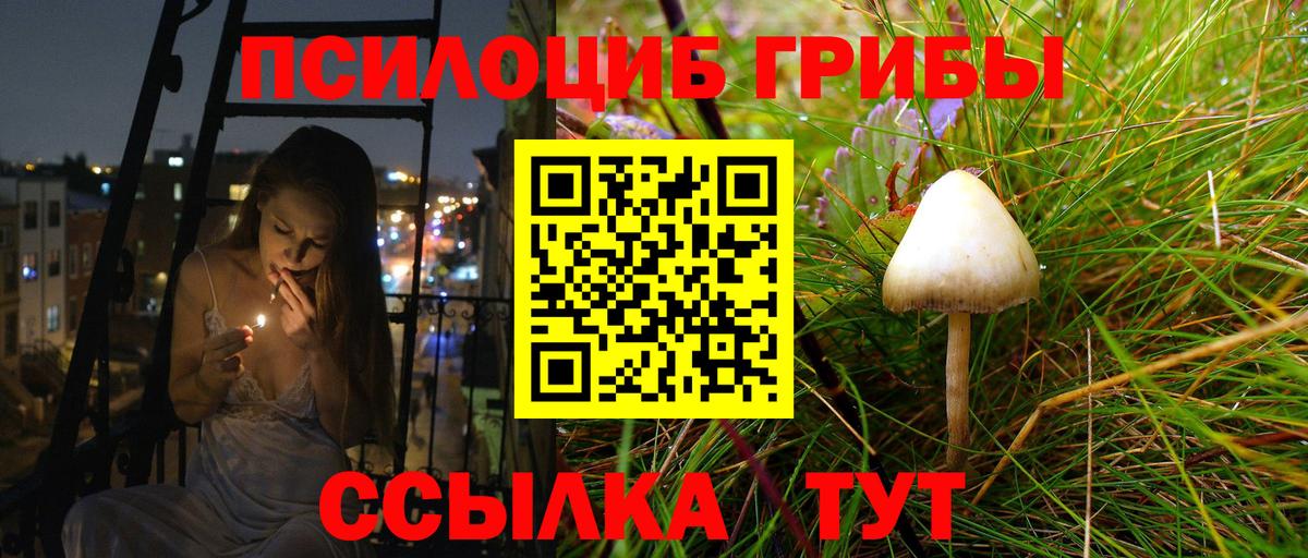 Псилоцибиновые грибы GOLDEN TEACHER Полевской